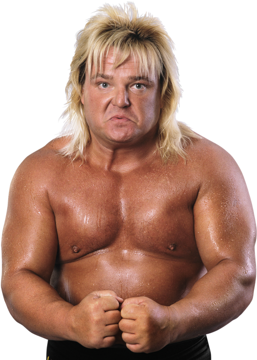 Greg Valentine Pro - Wwf Greg Valentine Png (1000x707), Png Download