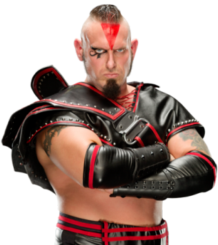 Wwe Money In The Bank 2017 - Connor Wwe The Ascension (500x353), Png Download