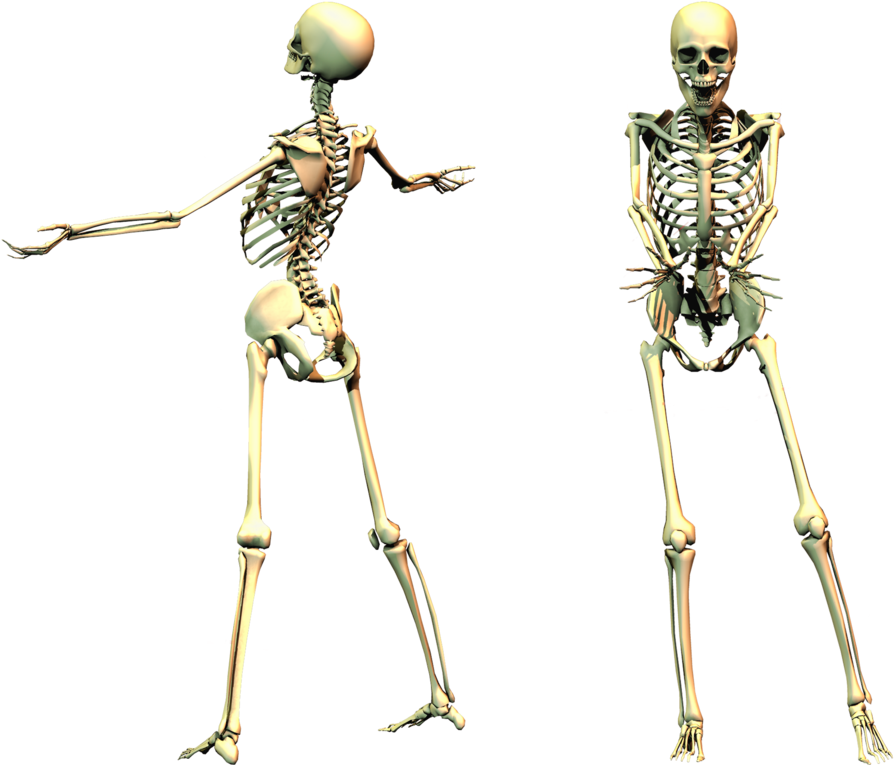 Halloween - Spooky Png (1024x797), Png Download