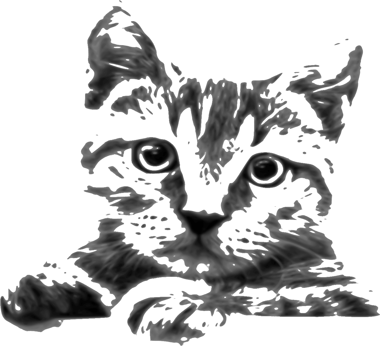 This Free Icons Png Design Of Cat Drawing (2400x1585), Png Download