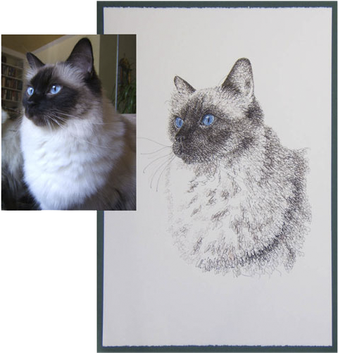 Original Cat Drawing - Product (649x1000), Png Download