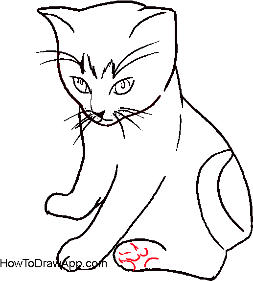 Perski - - Draw A Cat Body (600x600), Png Download