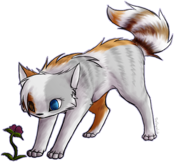 Flower - Warriors (900x675), Png Download