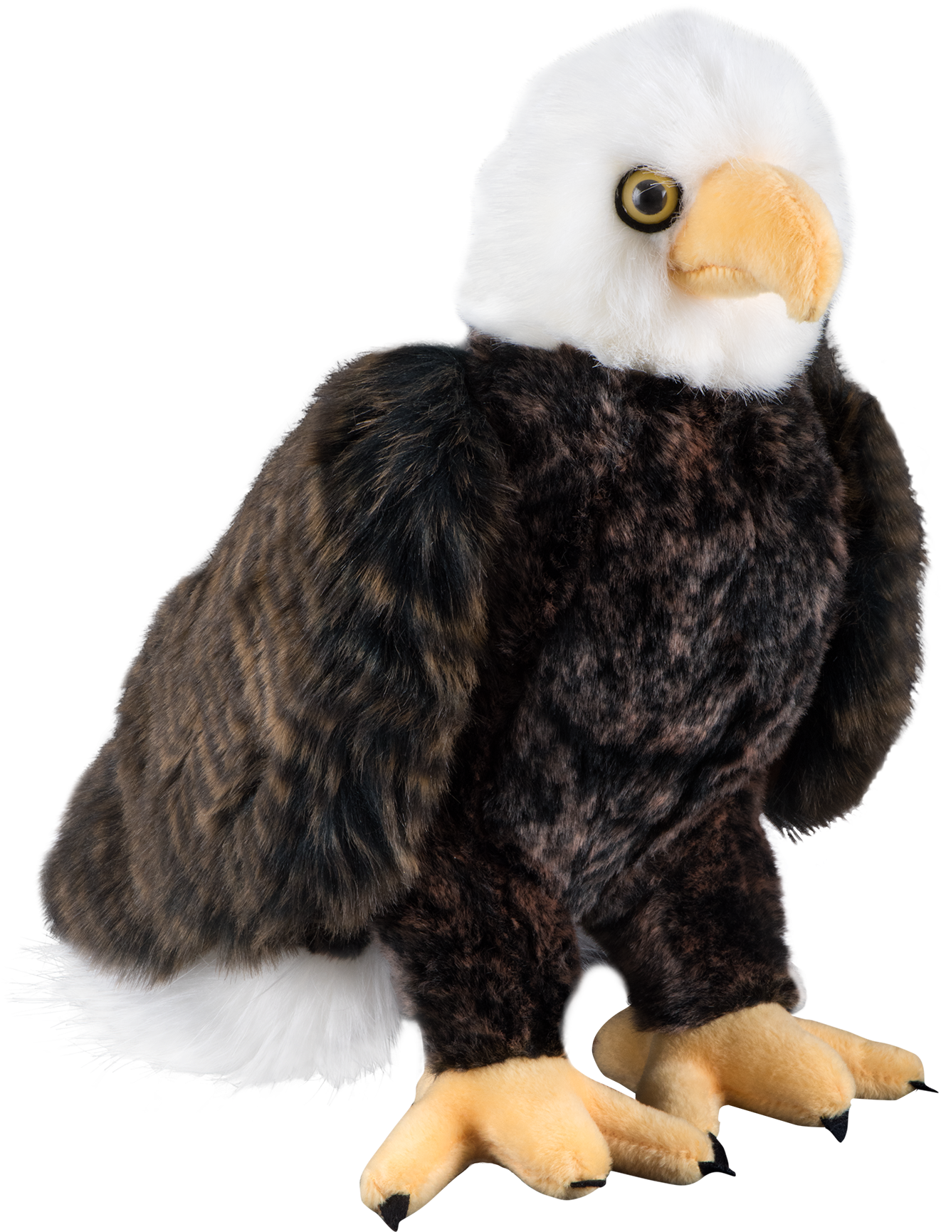 More Views - Eagle Plush (700x700), Png Download