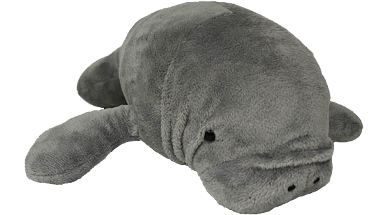 Plush Gray 16" Manatee - Manatee Plush (576x384), Png Download