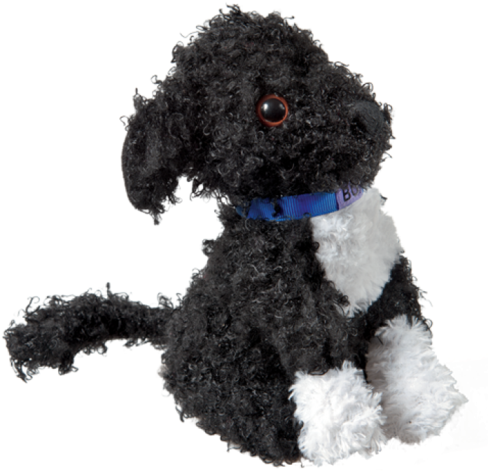 More Views - Bo Obama Plush (700x700), Png Download