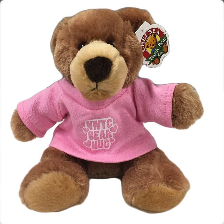 Plush Barney Bear Thumbnail - Northeast Wisconsin Technical College Bookstore (761x761), Png Download