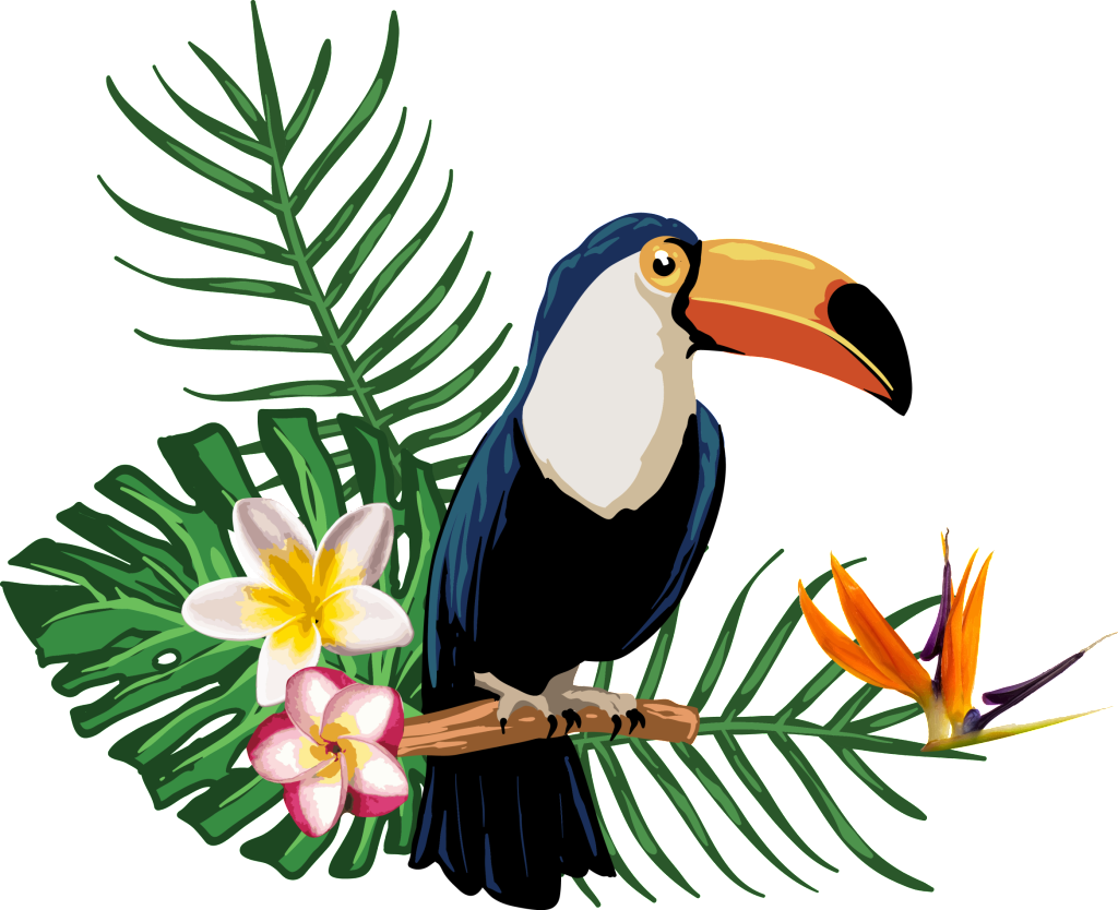 Transparent For Tropical Plant Animals - Animales Tropicales Con Fondo Transparente (1024x834), Png Download
