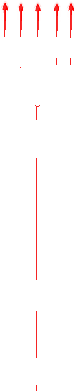 Garden - Pattern (800x1600), Png Download