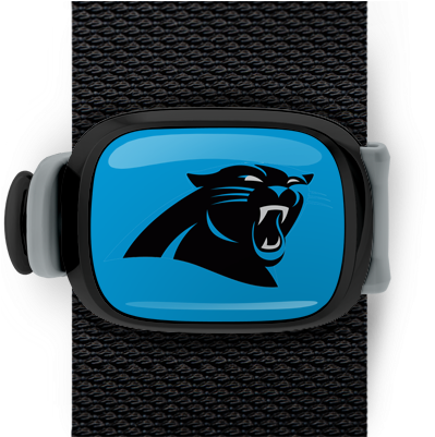 Carolina Panthers Stwrap - Carolina Panthers New (550x400), Png Download