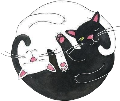 Drawn Black Cat Tumblr Transparent - Could Spend All 9 Lives With You (400x401), Png Download
