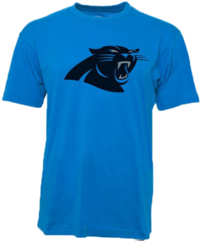 Carolina Panthers Biggie Logo T-shirt - Carolina Panthers 3' X 5' Logo Single-sided Fremont (421x480), Png Download