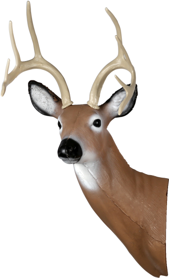 Large Alert Deer Head - Deer Head Transparent (600x600), Png Download