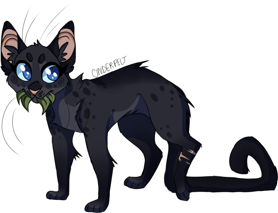 Drawn Black Cat Chibi - Warrior Cats Asteryork Sparkpelt (1024x722), Png Download