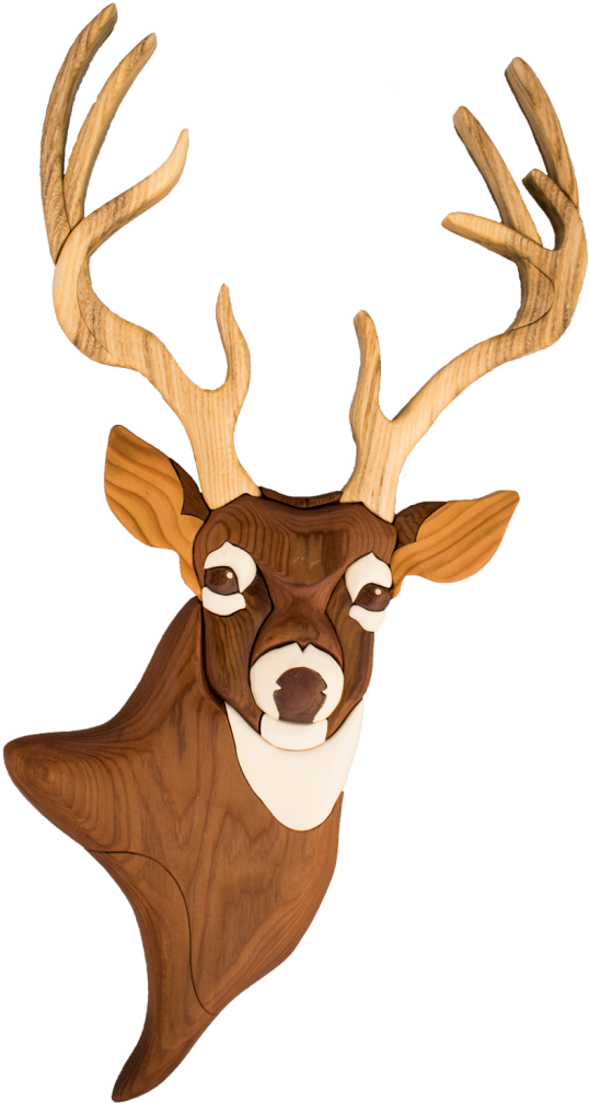 Related Posts - Deer (717x1024), Png Download
