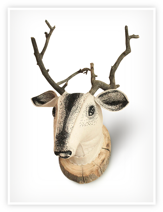 Deer (560x728), Png Download