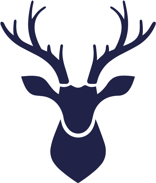 Deer Head Png (700x700), Png Download