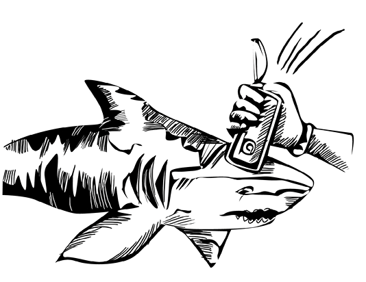 Illustration (534x412), Png Download