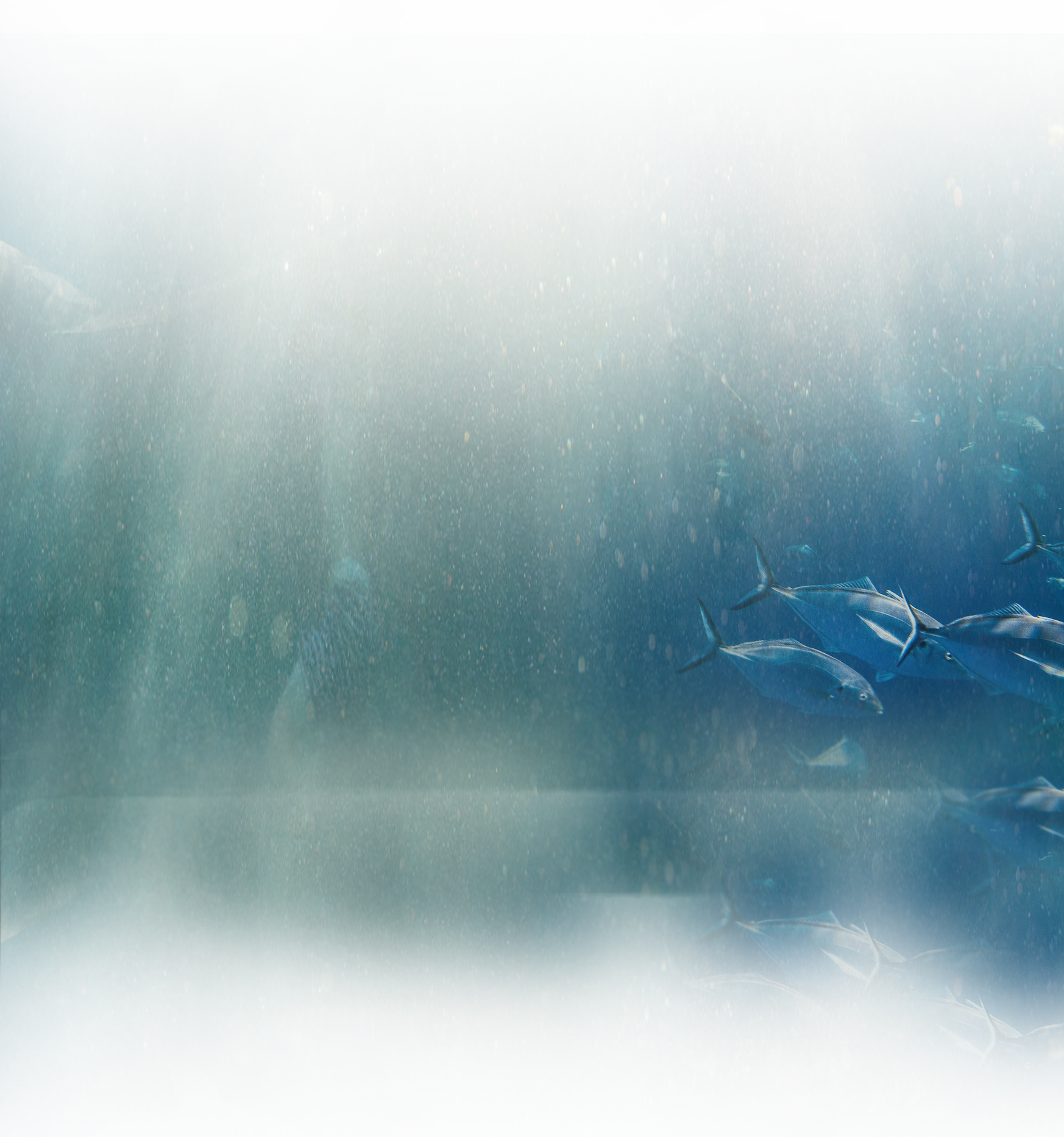 Image Description - Underwater (1746x1866), Png Download