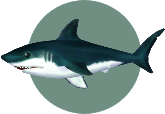 Graphic Transparent Library Image Shark City Folk Png - Shark Animal Crossing (540x374), Png Download