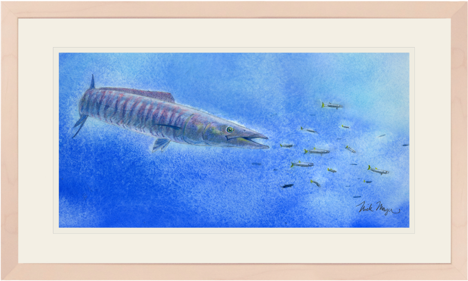 Wahoo Scene - Picture Frame (1023x664), Png Download