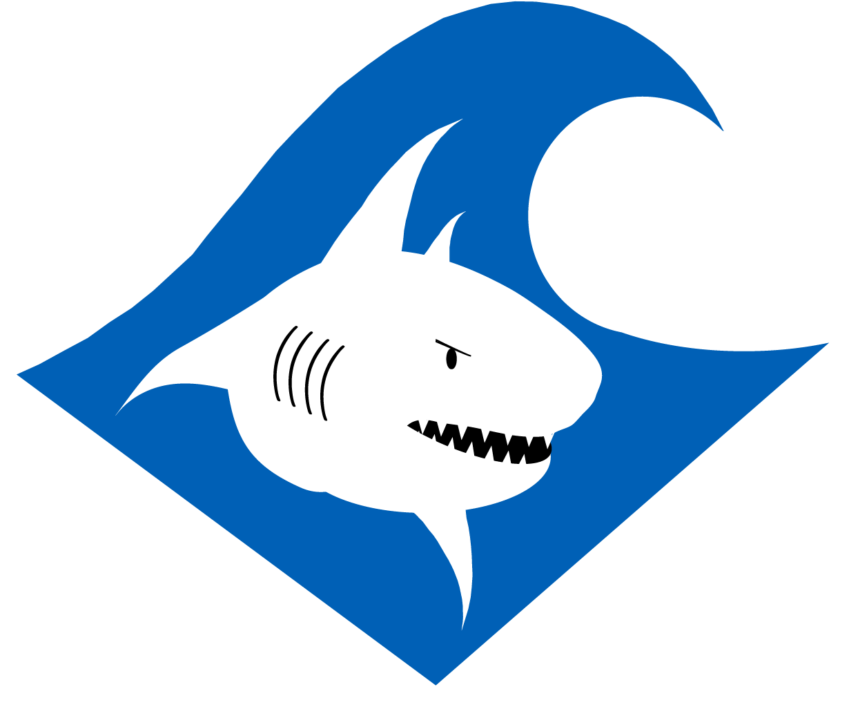 Nac Attack Cs5 No Background - Newtown Athletic Club (1272x1145), Png Download