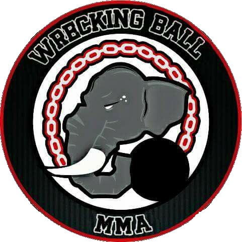 Wrecking Ball Png (481x481), Png Download
