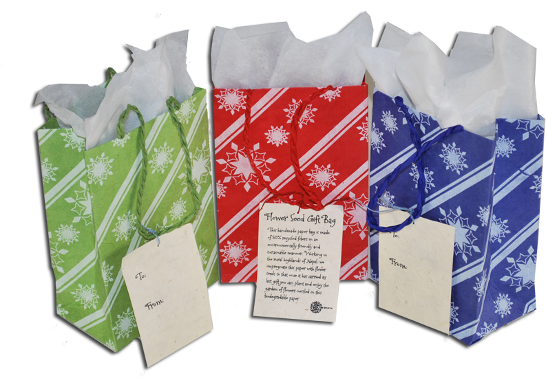 Holiday Seeded Gift Bags, Holiday Seeded Gift Bags - Gift (800x626), Png Download