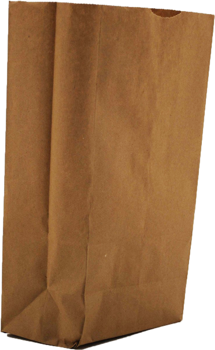 Recycled Paper Bags - Paper Bag (893x1280), Png Download