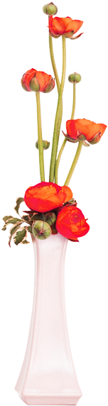 Flower Vase Png Transparent - Flower Background (404x673), Png Download