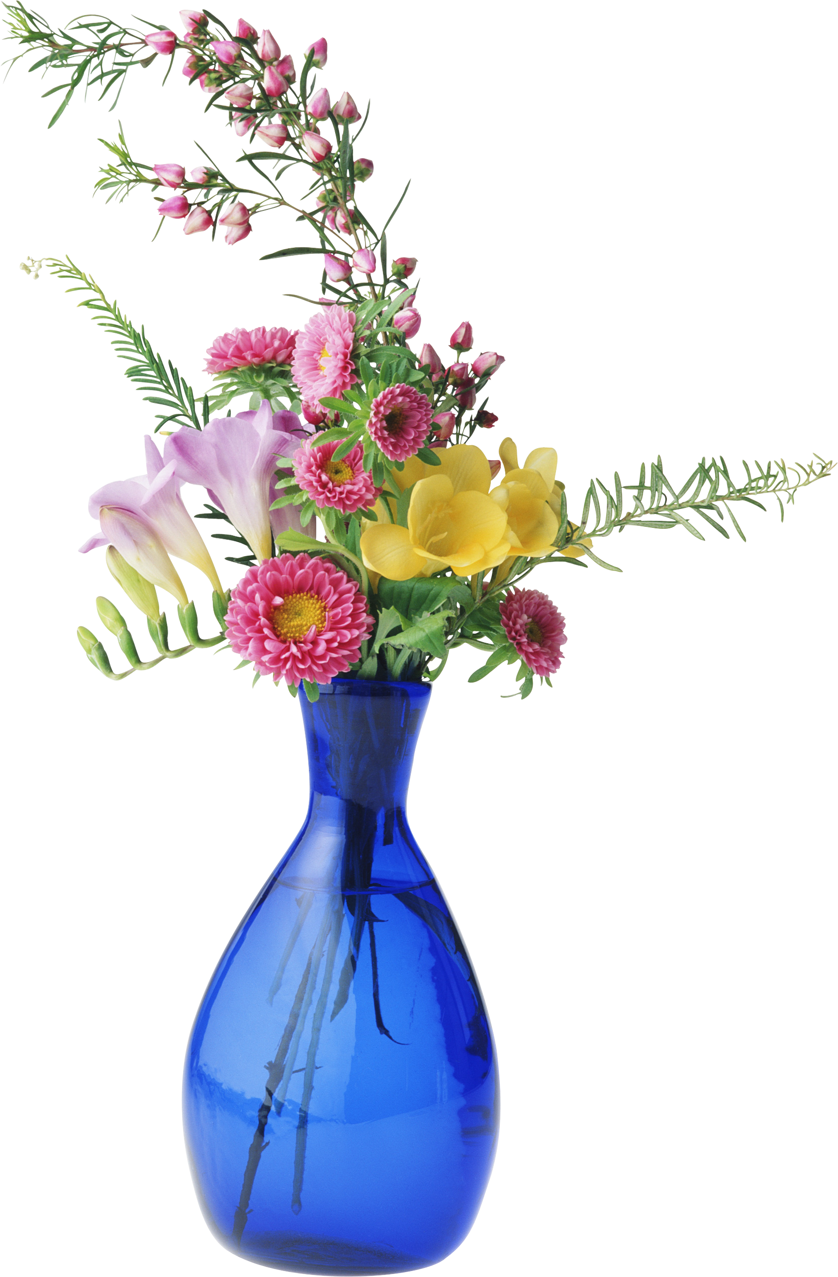 Vase Png - Unofficial Guide To Bed & Breakfasts (1685x2567), Png Download