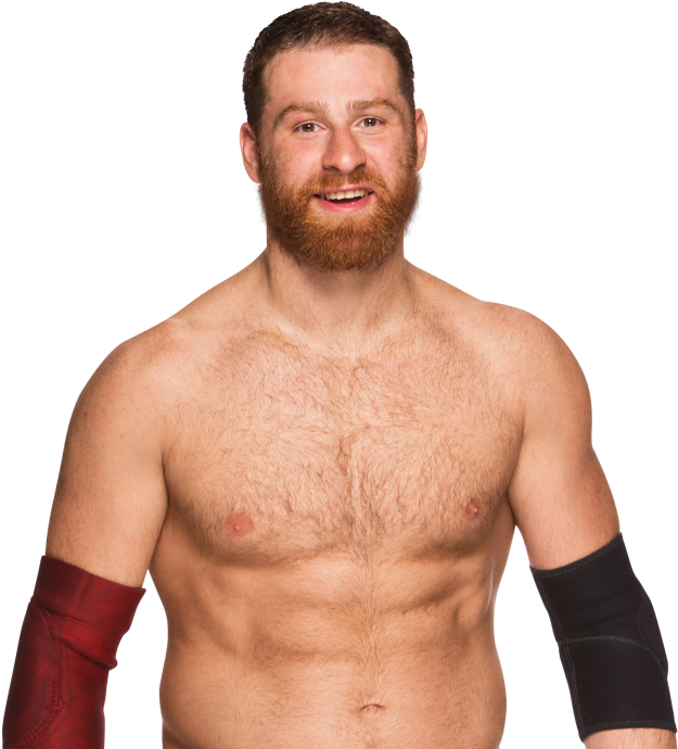 Sami Zayn - Sami Zayn Png (1000x707), Png Download