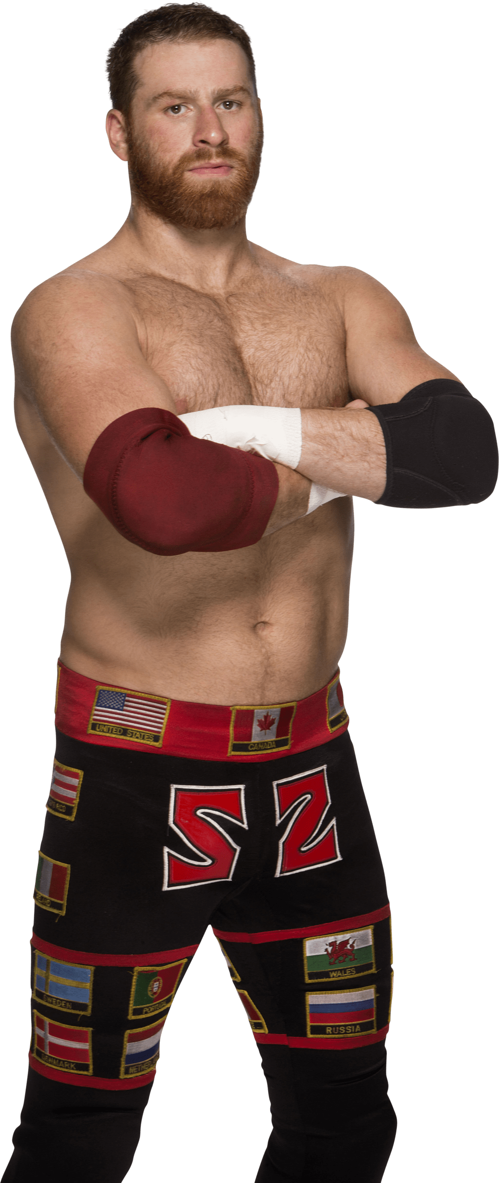 Celebrities - Sami Zayn Transparent (1024x2427), Png Download