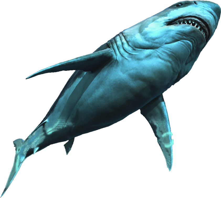 Great White Shark - Great White Shark Png (1024x756), Png Download