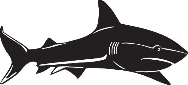 Shark (600x272), Png Download