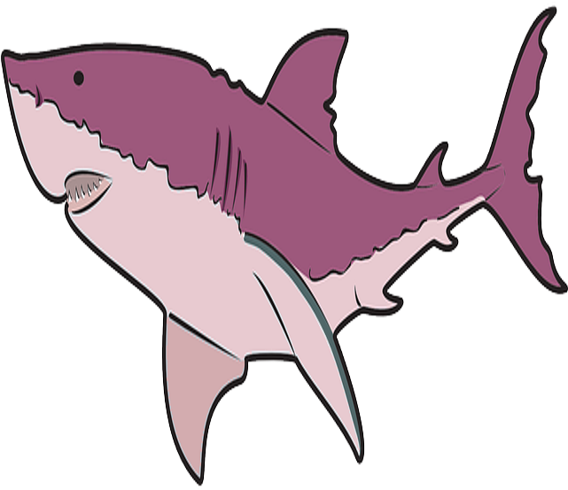 Shark - Requiem Shark (640x640), Png Download