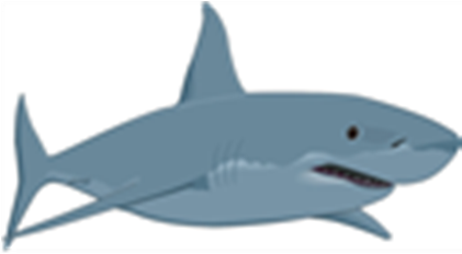 Cartoon Fish Great White Shark - Cartoon Great White Shark (420x420), Png Download