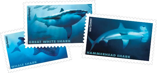 Photo Of The Sharks Stamps - Shark Sheet Of 20 Forever Usps First Class One Ounce (550x255), Png Download