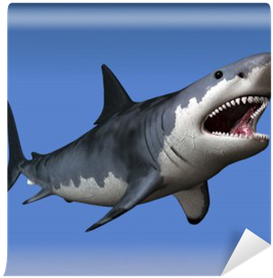 Great White Shark (400x400), Png Download