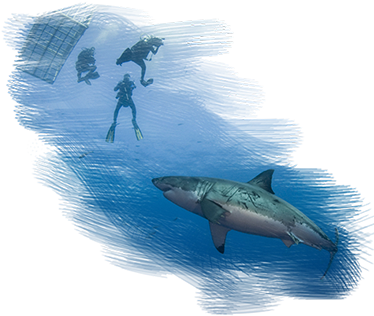 Jpeg (380x373), Png Download