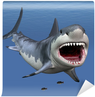 Great White Shark (400x400), Png Download