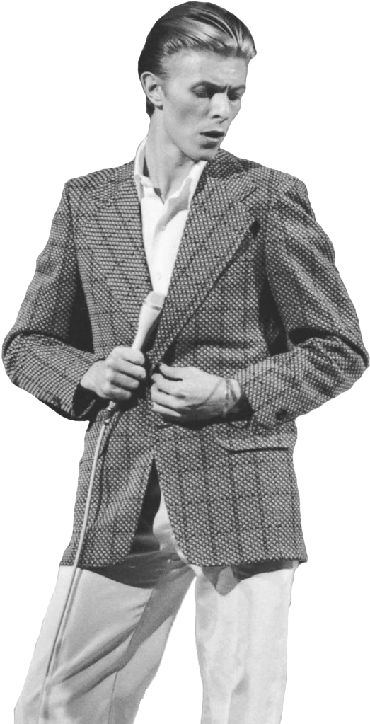 David Bowie - David Bowie Transparent Png (530x1040), Png Download