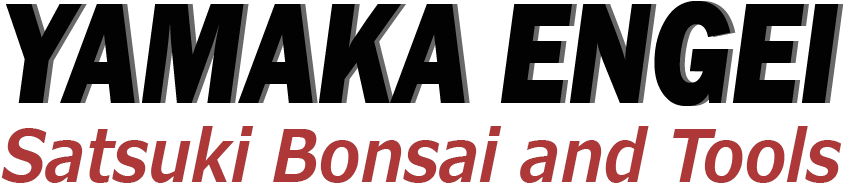 Bridgestone Logo No Background (842x235), Png Download