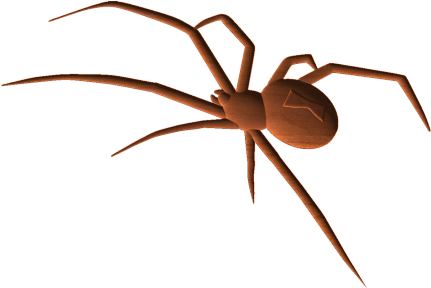 Blackwidow Spider - Spider (430x430), Png Download