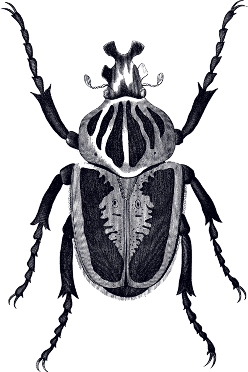 Previous Slide - Scarab Beetle Tattoo Small (2048x2048), Png Download