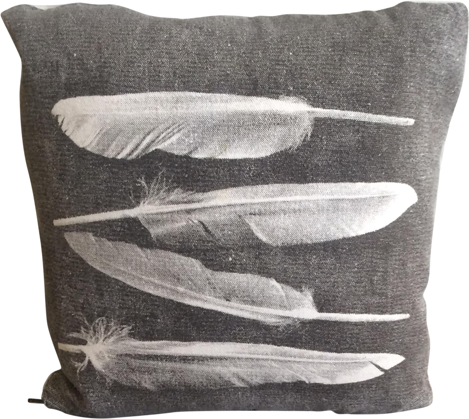 Archival Decor Feather Print Pillow - Feather Print Pillow (1702x1519), Png Download