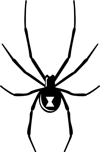 Graphic Stock Halloween Window Decal Stickersstickers - Black Widow Spider Vector (350x529), Png Download