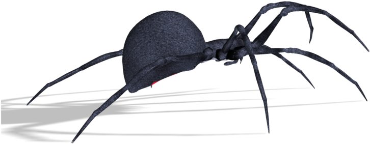 Spiders - Portable Network Graphics (750x345), Png Download