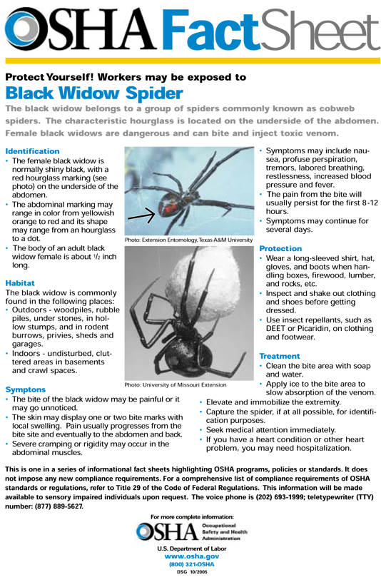 Source - - Pest Control Fact Sheet (650x830), Png Download