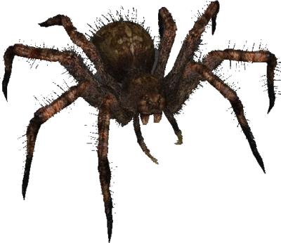 Bugs Clipart Halloween - Bugs Png (400x346), Png Download